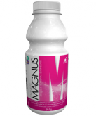 Magnus - ENERGETICO