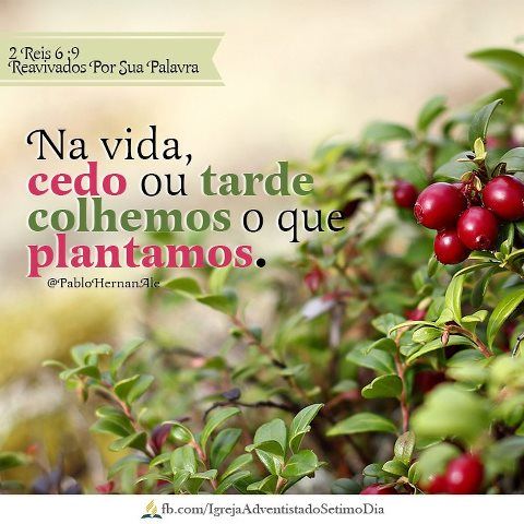 Colhemos o que Plantamos.