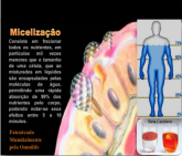 A Micelização Supreme